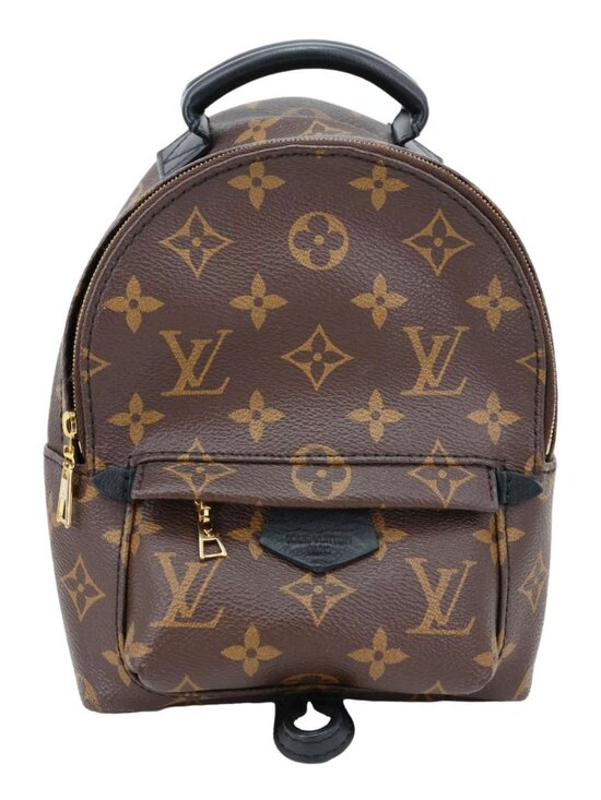 Louis Vuitton  Palm Spring Mini Monogram Canvas Backpack Brown main image 12